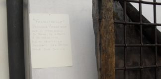 Inaugurata la mostra di Francesco Matano