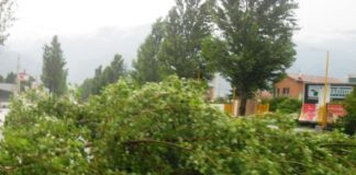 Pioggia e vento, albero abbattuto sulla ex 158: le foto