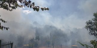 In fiamme la collina sparanisana: ridotto in cenere l’ultimo polmone verde della zona