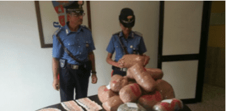 Caserta: sorpreso con 17 chili di marijuana, arrestato