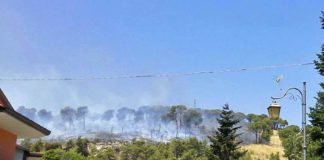 Collina di Sparanise in fiamme anche oggi