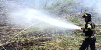 Incendia stoppie, agricoltore ucciso dalle fiamme