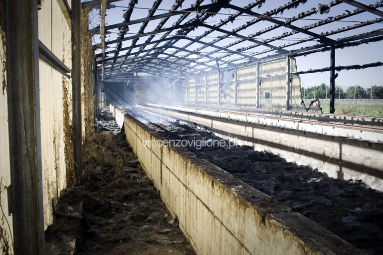 Dopo l’incendio, è emergenza ambientale nell’area Eurocompost