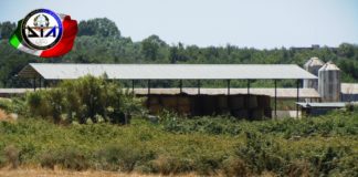 Omicidio Caiazzo, sequestrata masseria (FOTO)