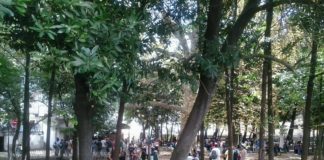 Piedimonte Matese: giornata di mobilitazione contro gli spazi pubblici abbandonati