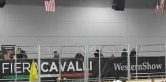 Giuseppe Di Cerbo conquista il WesternShow di Fieracavalli 2014