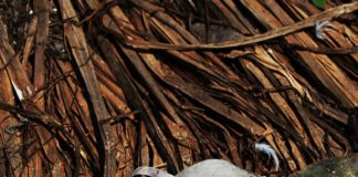 Agro aversano: campagna affissionale contro le discriminazioni