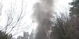 In fiamme un bus con venti persone a bordo, paura a Fontegreca FOTO