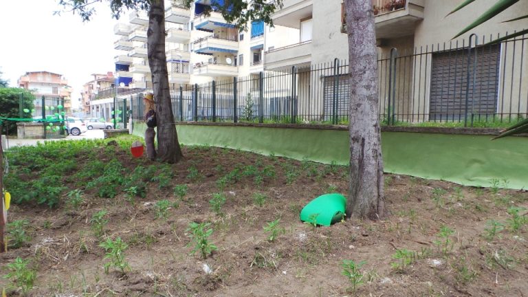 Aversa: prende forma l’orto alla scuola De Curtis