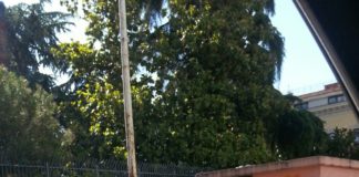 Aversa: incredibile sulla Variante, uomo urina sul marciapiede FOTO