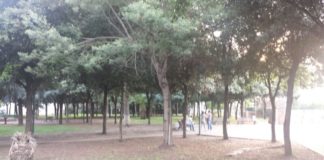 Sant’Arpino, nuovo look per i parchi cittadini