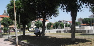 Aversa: al via la pulizia delle caditoie e la cura del verde pubblico