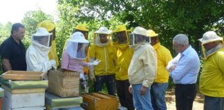 Caianello: il 5 luglio convegno dedicato all’apicultura