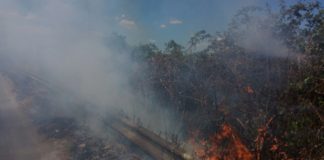 Maddaloni: sterpaglie e rifiuti in fiamme, provvidenziale intervento delle Guardie Ambientali FOTO
