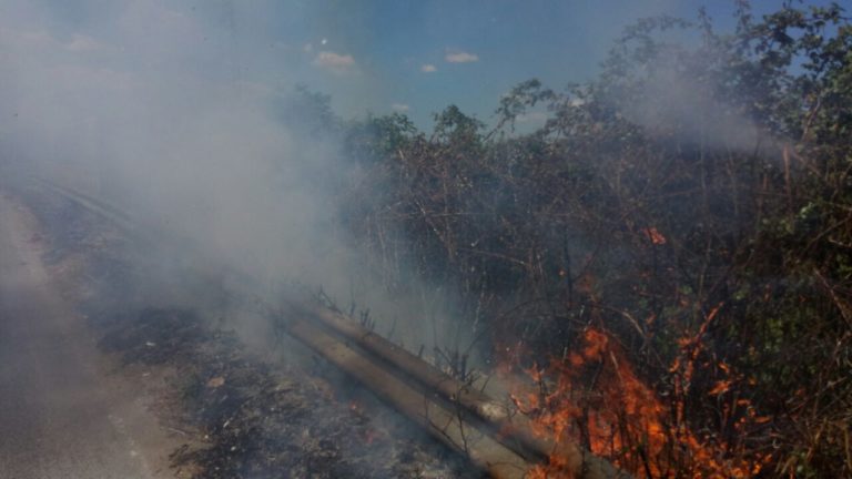 Maddaloni: sterpaglie e rifiuti in fiamme, provvidenziale intervento delle Guardie Ambientali FOTO