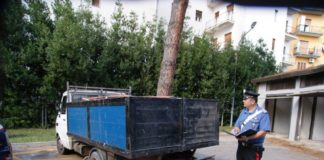 Trasportavano materiale ferroso, due denunciati