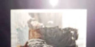 Una “bi-personale” dei pittori matesini Facchiano e Isacco per andare oltre lo sguardo