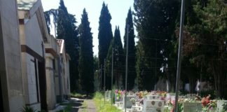 Aversa: viali del cimitero invasi dalle erbacce LA FOTO