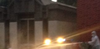 Aversa: disinfestazione al cimitero