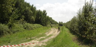 Capua: sequestrata ex cava adibita a discarica