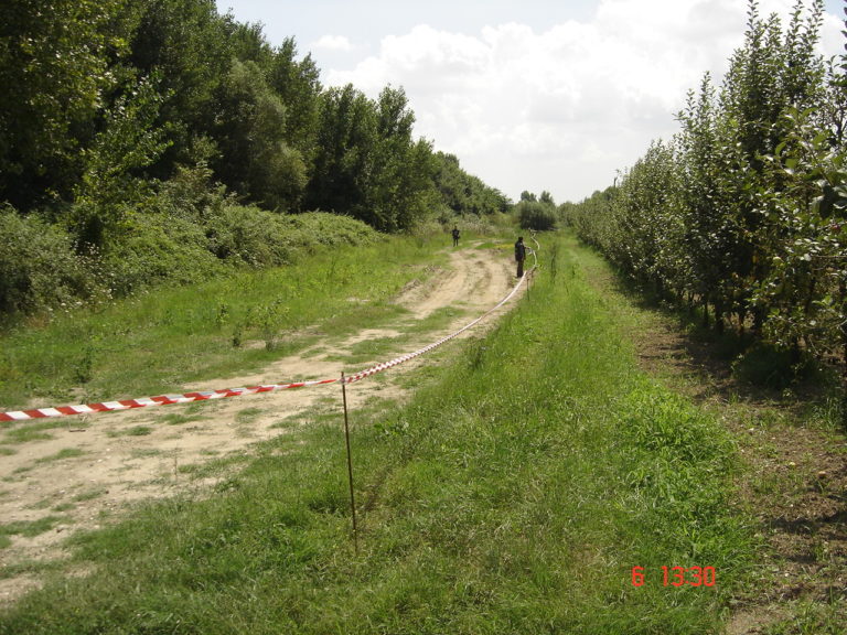 Capua: sequestrata ex cava adibita a discarica
