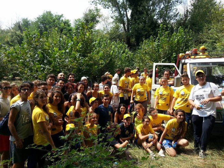 Teano: ragazzi provenienti da tutt’Italia raccolgono noccioline nei beni confiscati
