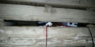 San Felice a Cancello: duro colpo delle Gadit ai bracconieri, sequestrati richiami per uccelli