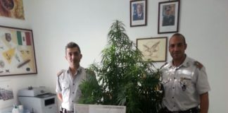 Aversa: centrale spaccio e coltivazione in via Diaz, 48enne in arresto