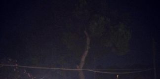 Francesco Forte, è stato nominato componente del Forum regionale della Gioventù, in quota Nuovo Psi.