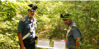 Molinara: abbandonano amianto nel bosco, denunciati