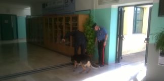 Sant’Angelo dei Lombardi: controlli antidrogra a scuola con le unità cinofile