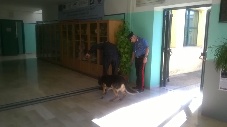 Sant’Angelo dei Lombardi: controlli antidrogra a scuola con le unità cinofile