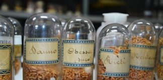 Una collezione di semi ultraottantenne: il tesoretto dell’Istituto Tecnico Agrario di Piedimonte Matese.
