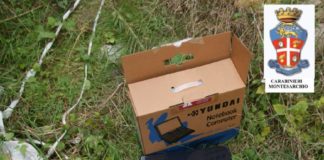 Ceppaloni: ladri mollano refurtiva, ritrovati i pc del comprensivo