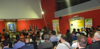 Aethina Tumida, nemico delle api. “Spazzino opportunista” e “nuovo ospite”, ma non fa paura