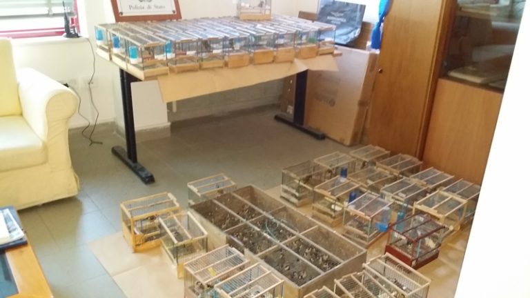 Napoli: polizia e guardie EMPA denunciano tre persone per maltrattamento animali
