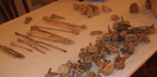 San Potito Sannitico, iniziato studio sulle ossa rinvenute in località “Torelle”