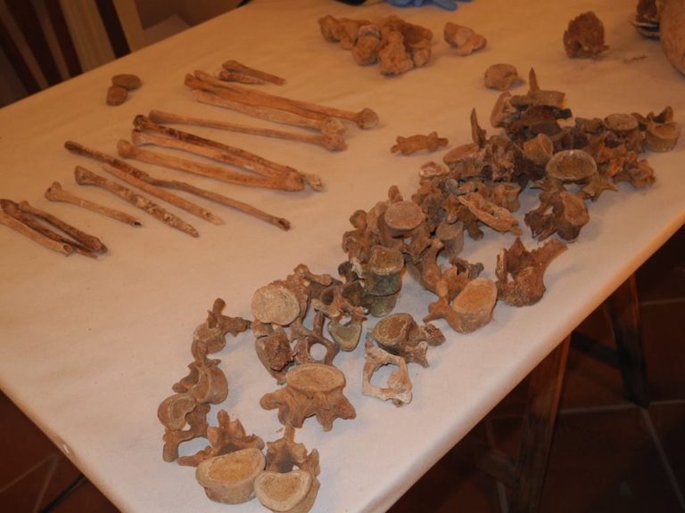 San Potito Sannitico, iniziato studio sulle ossa rinvenute in località “Torelle”