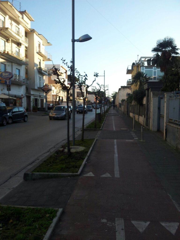 Aversa, potatura selvaggia in via Saporito: la denuncia del Pd