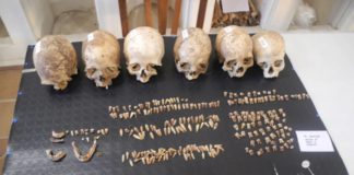 San Potito Sannitico: protocollo con l’università per lo studio dei reperti ossei