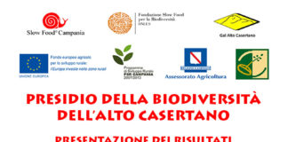 Piedimonte Matese: ecco i risultati del Presidio della Biodiversità dell’Alto Casertano