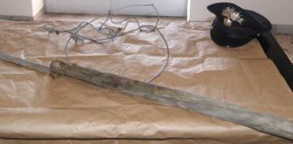 Follia umana in Irpinia: accalappia un cane e lo uccide a bastonate. Proprietario sotto choc, denunciato 70enne