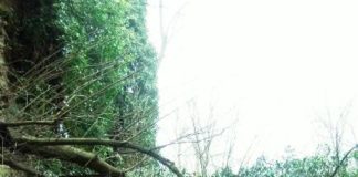 Calvi Risorta: crolla parete delle Terme di San Leo nel sito archeologico di Cales