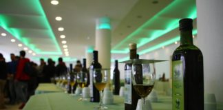 Gioia Sannitica, successo per il Buon olio festival FOTO