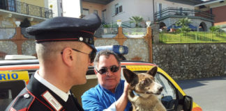 Pratola Serra: cangnolino bloccato tra due palazzi a 4 metri di profondità, salvato da carabinieri e vigili del fuoco FOTO