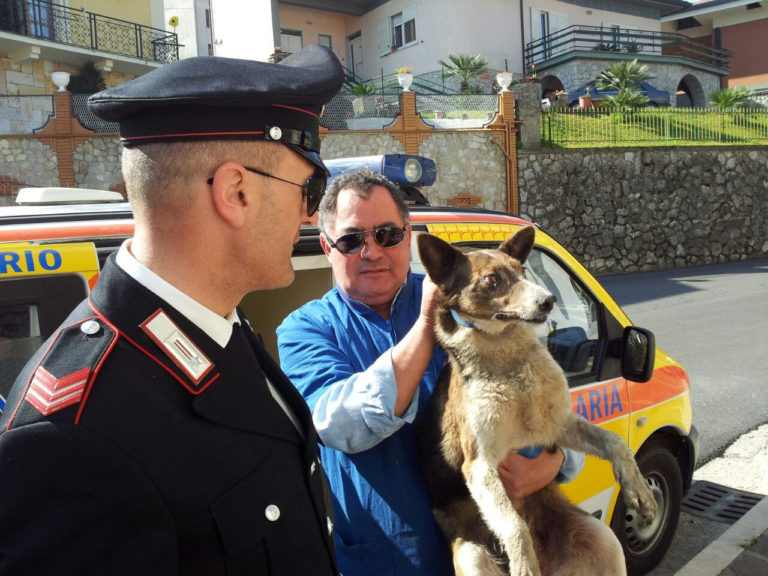 Pratola Serra: cangnolino bloccato tra due palazzi a 4 metri di profondità, salvato da carabinieri e vigili del fuoco FOTO