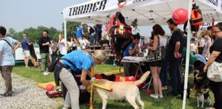 Napoli: alla Mostra d’Oltremare tutto pronto per Quattrozampeinfiera