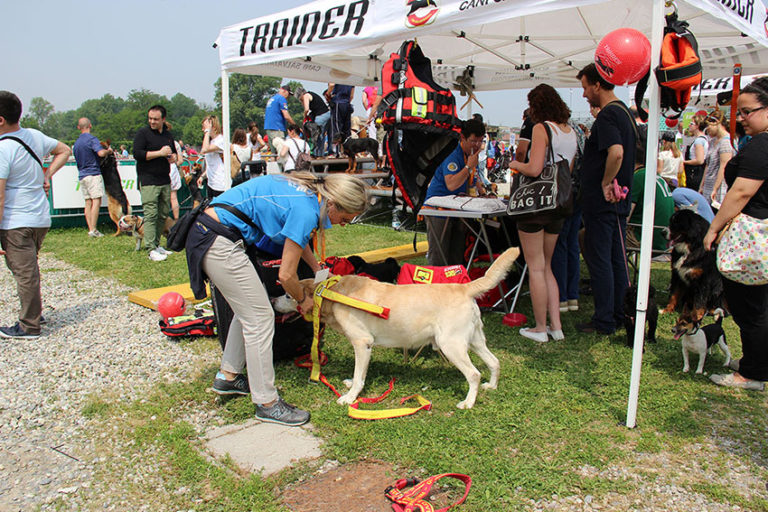 Napoli: alla Mostra d’Oltremare tutto pronto per Quattrozampeinfiera