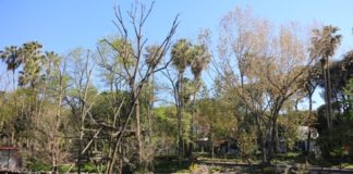 Nuovo sopralluogo della Commissione Ambiente allo Zoo di Napoli