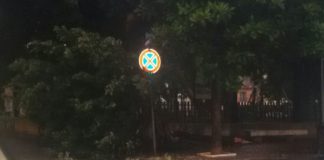 Aversa: cade albero alla villa comunale, esplodono tombini in piazza Vittorio Emanuele